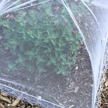 Load image into Gallery viewer, Food Covers Tent